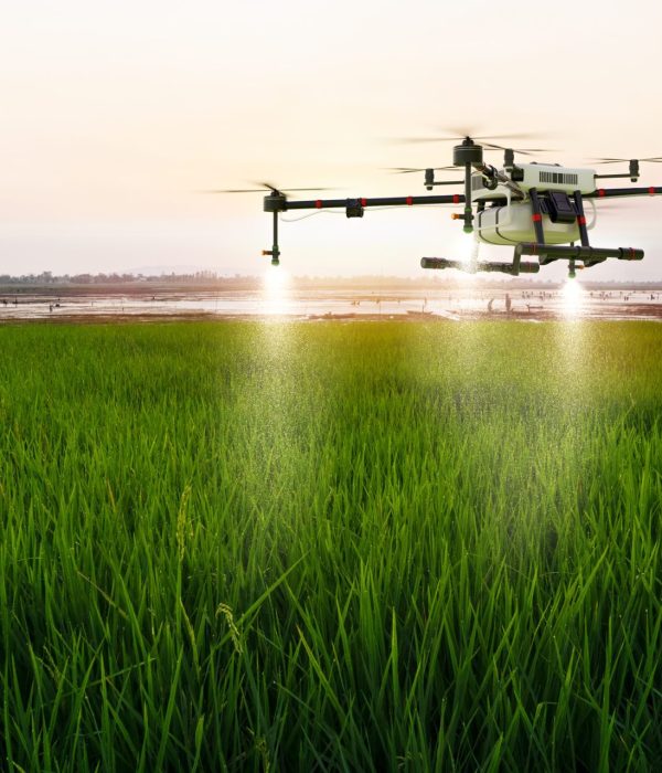 agriculture-drone-flying-on-rice-farm-to-sprayed-fertilizer-e1697509531109.jpg